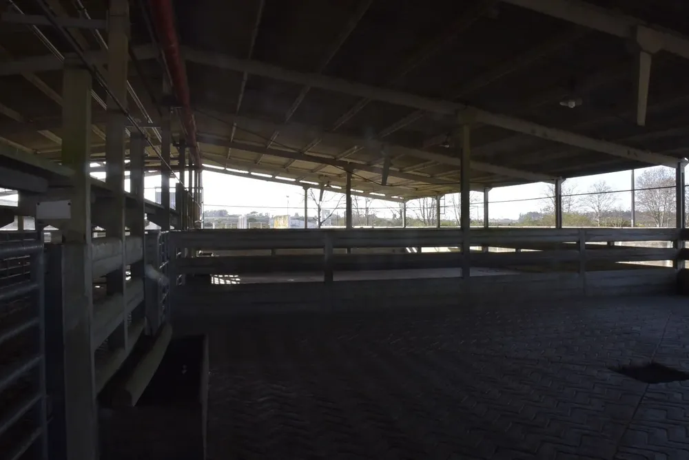 Playa para la concentración de vacunos.