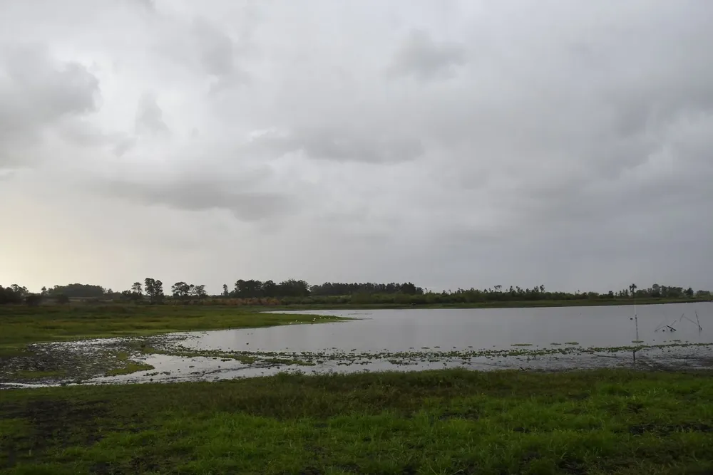 Laguna del Cisne. (Archivo)