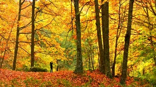 El otoño llega a España 