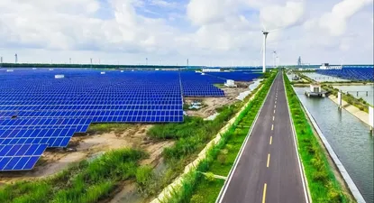 La Responsabilidad Social Empresaria como hoja de ruta de las compañías del siglo XXI