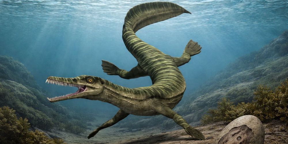 MESOSAURIO