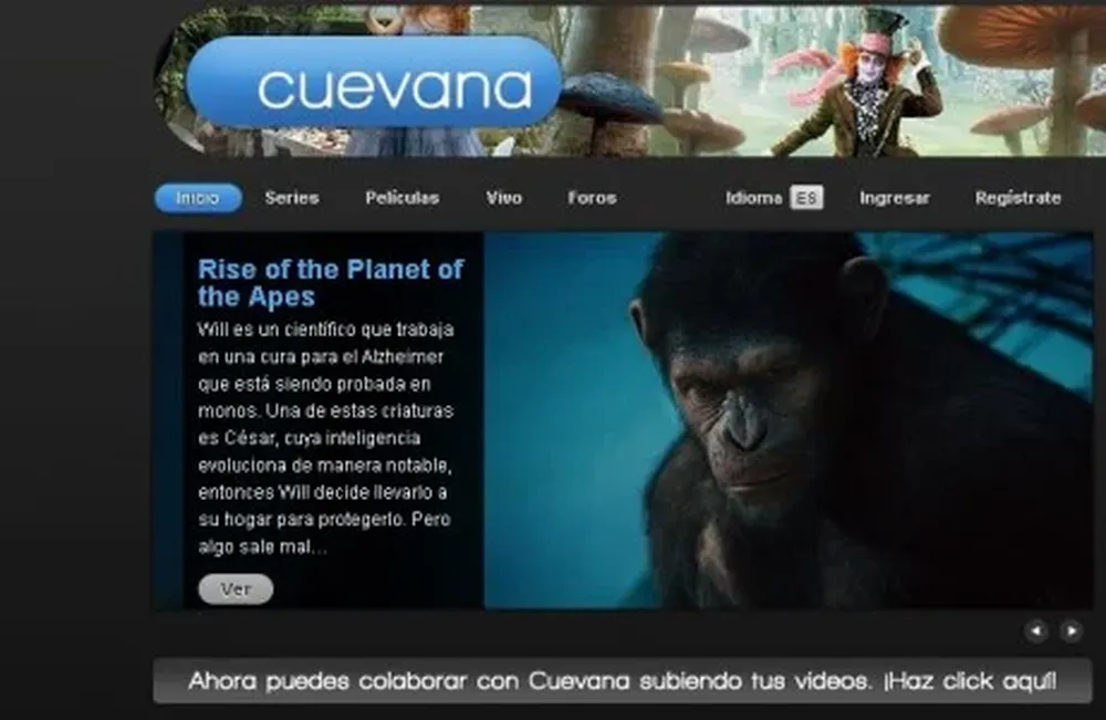 El sitio web, en sus días más duros