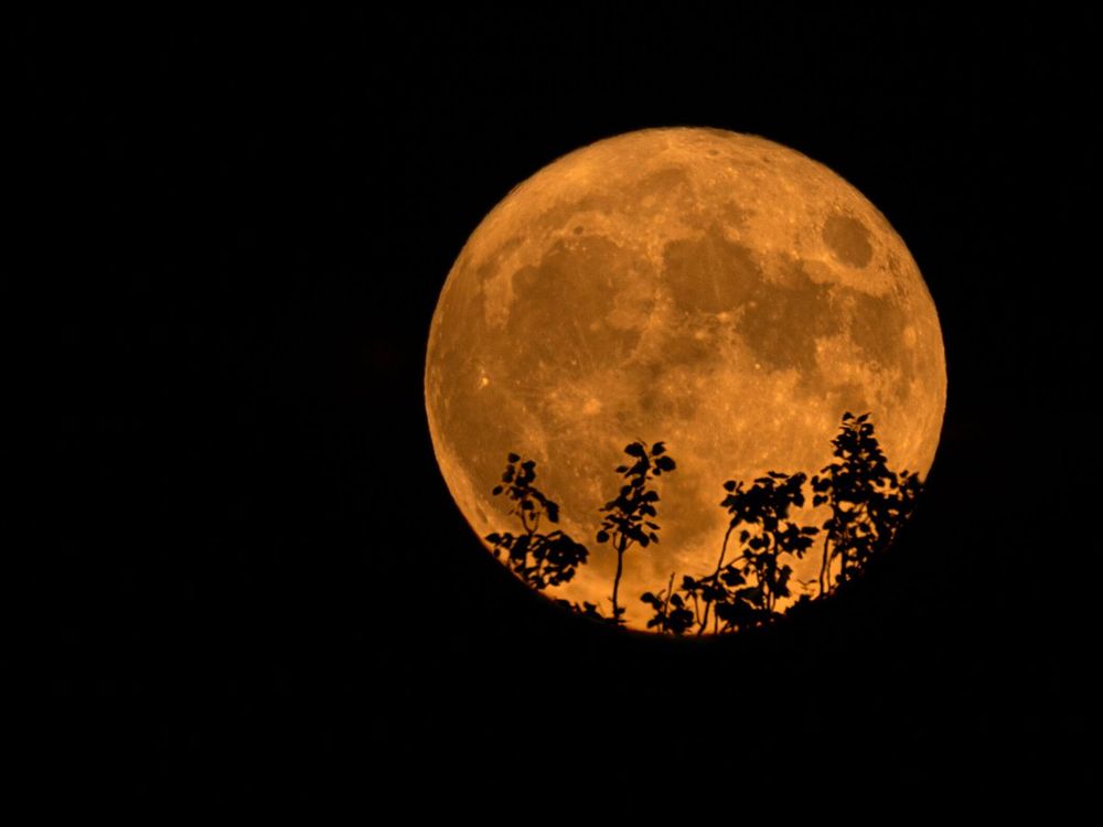 La Luna del Ciervo ilumina el cielo en España: cuándo y cómo observarla. (EFE)