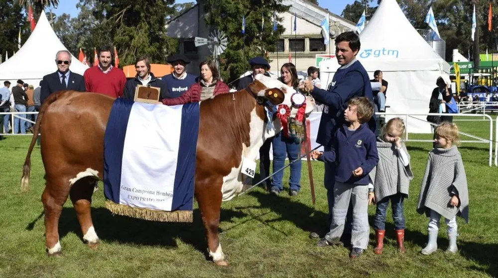 Brete 429, Gran Campeona Braford, de La Perdíz.