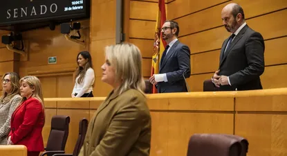 El presidente del Senado, Pedro Rollán.