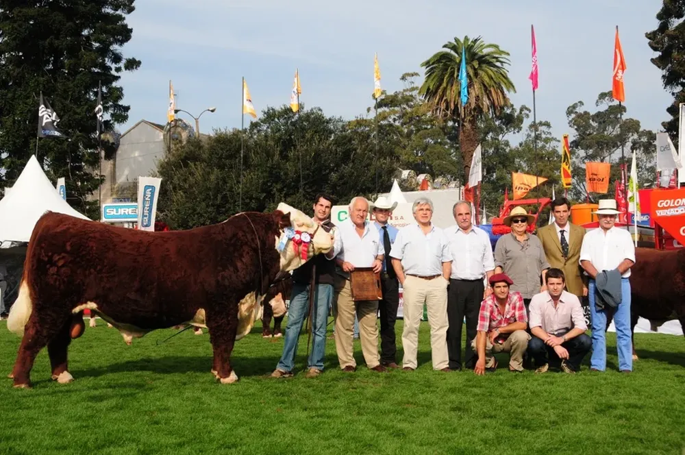 El Gran Campeón Polled Hereford de Sociedad Ganadera San Salvador fue coronado por el ministro Tabaré Aguerre.