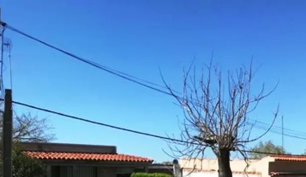 Cartelera semanal de subastas