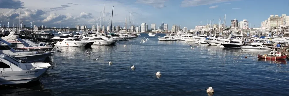Puerto de Punta del Este