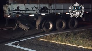 Accidente fatal en Lavalleja: una mujer que viajaba como acompañante murió tras chocar contra un camión