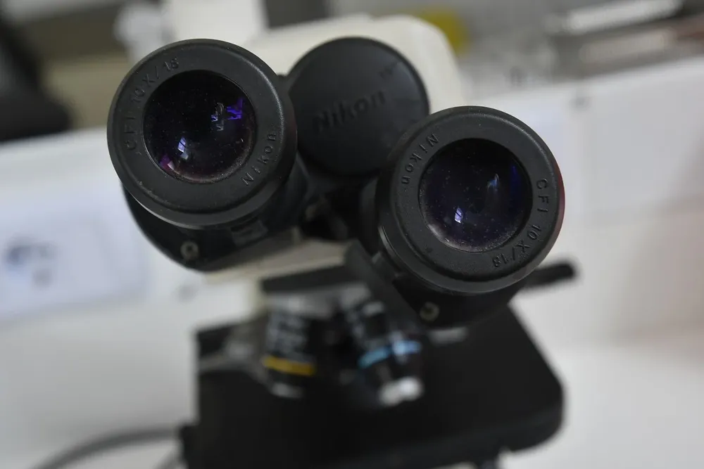 Encontraron resistencia al antiviral ganciclovir en 11 de 19 muestras.