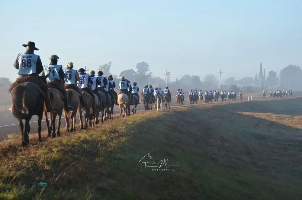 En la Marcha de Oro participaron 89 animales de 13 departamentos y 68 cabañas