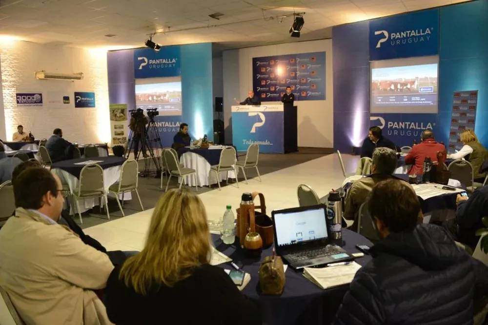 Los negocios comenzarán a la hora 9 del próximo jueves con el Itaú.