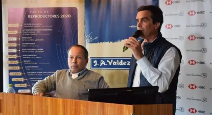 este jueves valdez y cia vendera vacunos y lanares en fraile muerto