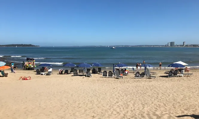 Representantes de Coca Cola y PepsiCo coincidieron en que la ola de calor potenció el consumo