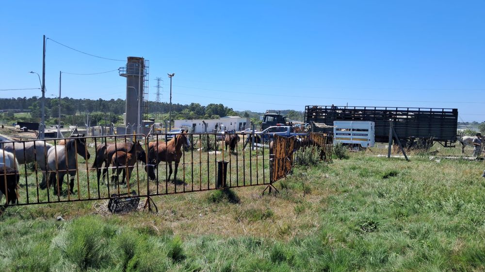 WhatsApp Image 2025-12-04 at 10.31.55 AM