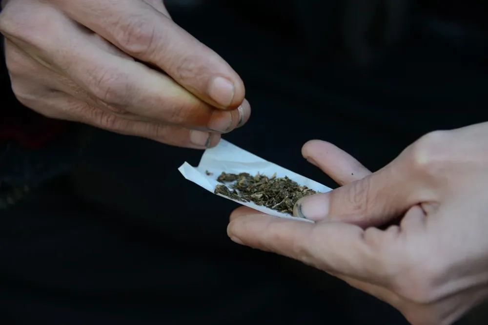 Se allanaron dos viviendas; una de ellas pertenecía a un autocultivador registrado en el IRCCA