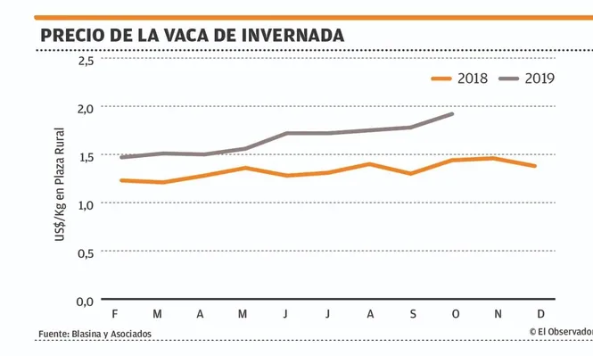 El mercado ganadero se recalienta y el novillo especial llegó a un récord de US$ 4,15