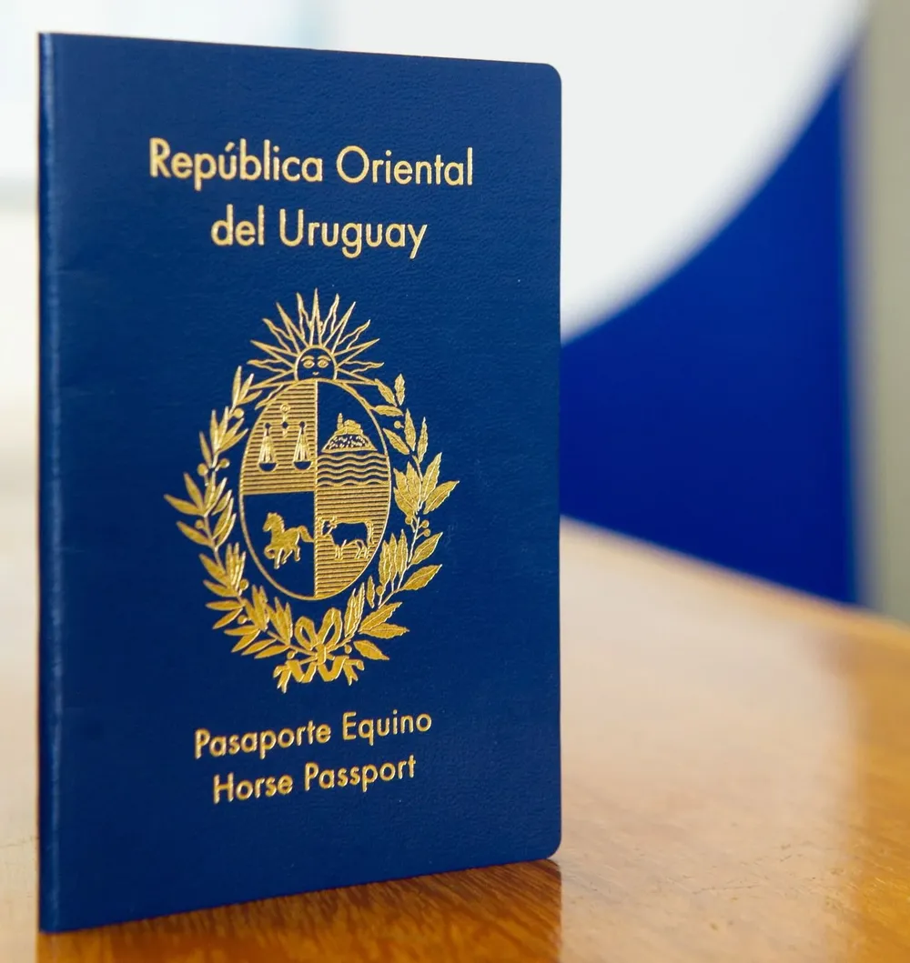 También pidieron fortalecer la capacitación en materia consular que se les brinda