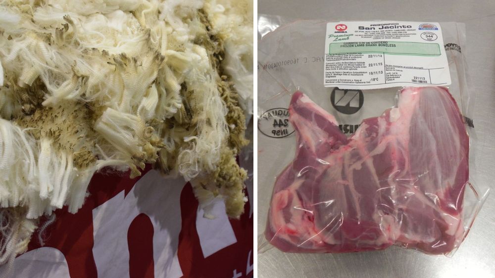 Rubro ovino: lanas al alza y carne ovina en baja.