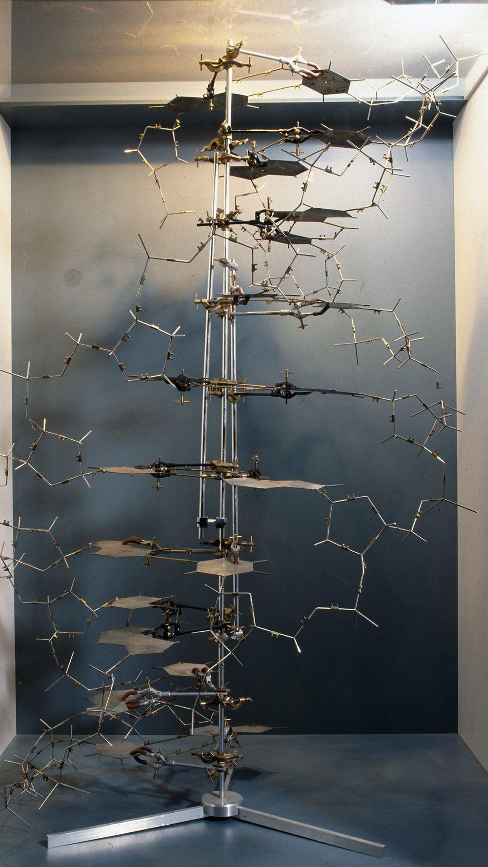 Los desiertos genéticos son regiones de la llamada "basura" genética que no codifican proteínas, pero que pueden desempeñar un papel importante en las enfermedades.