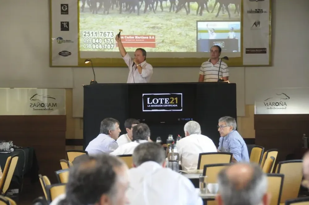 El remate se realizó este martes y sigue este miércoles en el Hipódromo de Maroñas