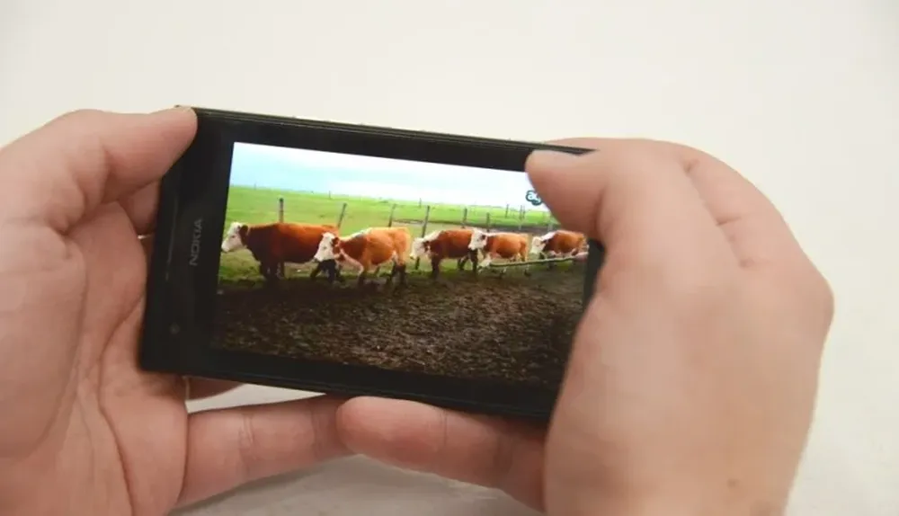 Algunas empresas tienen canales de YouTube donde publican videos de los lotes en venta