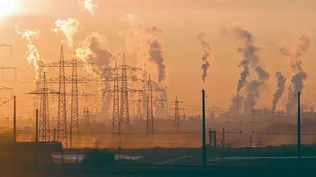 La contaminación puede afectar al cerebro humano