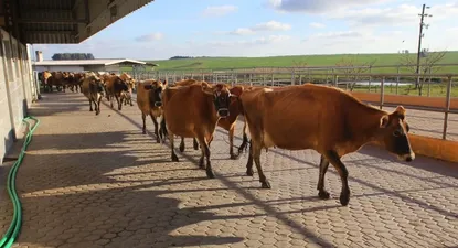 El Observador | 0023614790.webp