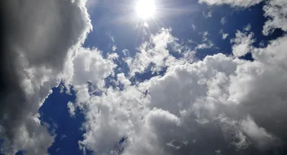 El Observador | 0000354947.webp