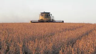 Commodities relevantes bajaron de precio en el segundo trimestre