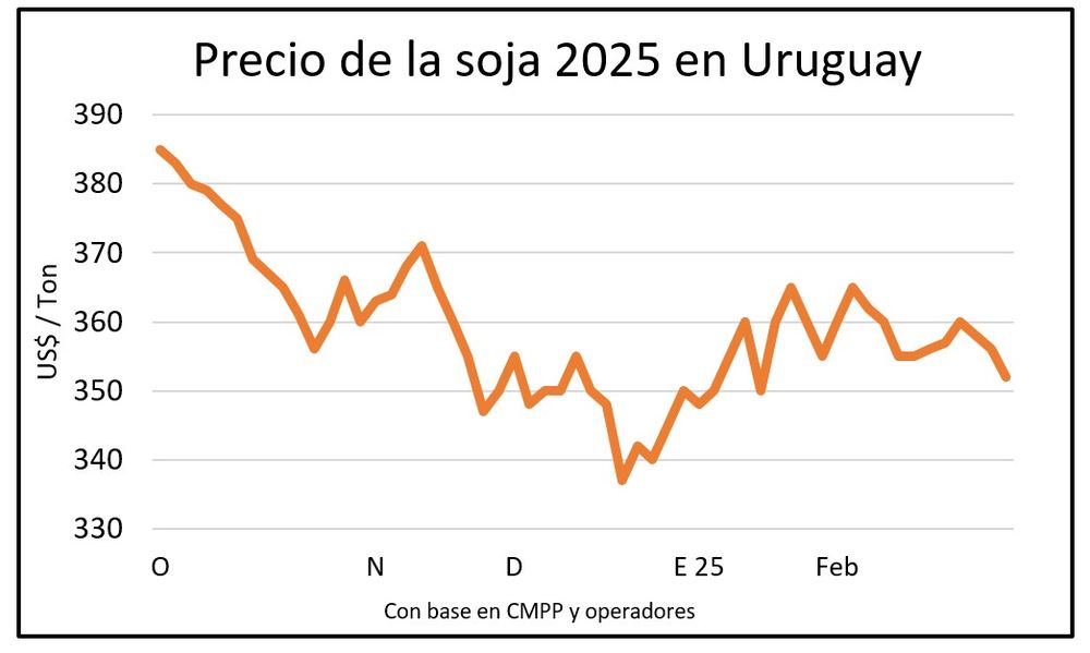 WhatsApp Image 2025-02-28 at 22.36.14.jpeg