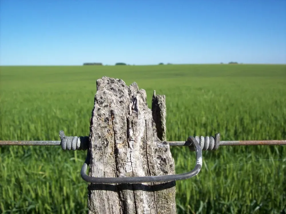 El precio de la tierra continúa al alza, pero a un ritmo inferior en los últimos tres años