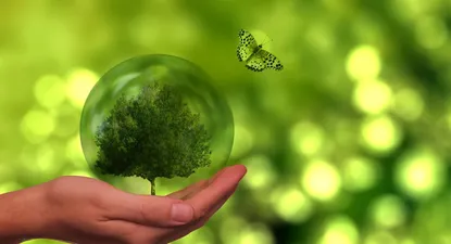 El lema del Día Mundial de la Alimentación para el año 2021 es “Alimentos seguros ahora para un futuro saludable”,