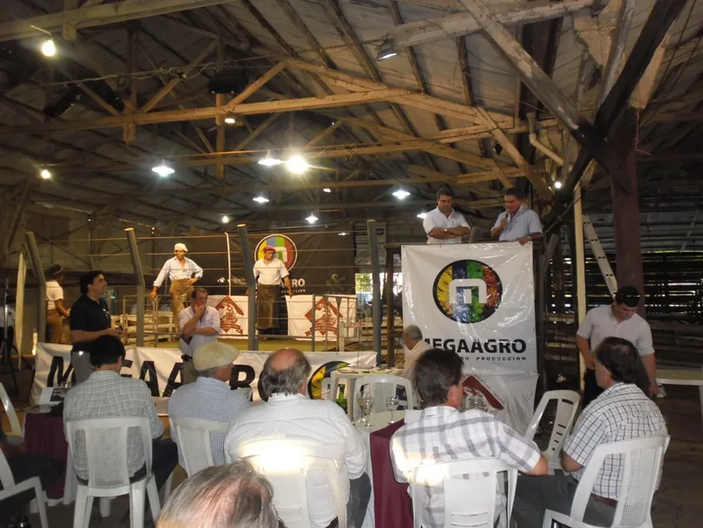 El mayor promedio se obtuvo en el remate de los Merino Dohne de cabaña Tres Árboles