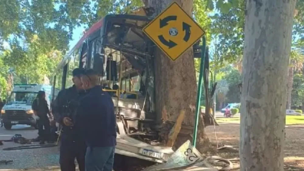 Las últimas palabras del chofer previo a fallecer en el accidente