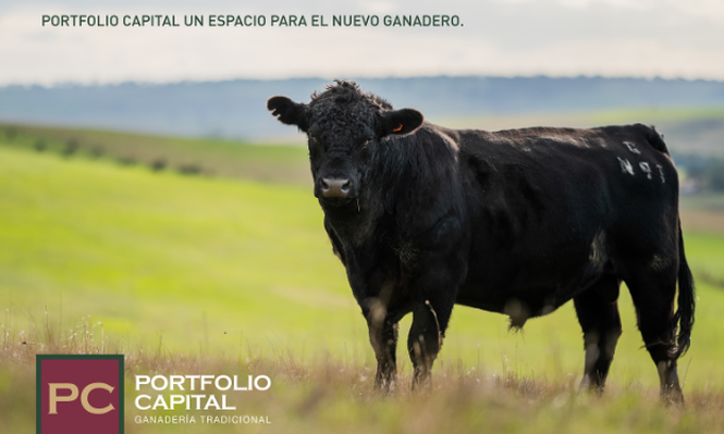 Portfolio Capital: Justicia ordenó una pericia contable para dos empresas vinculadas a Alejandro Berrutti