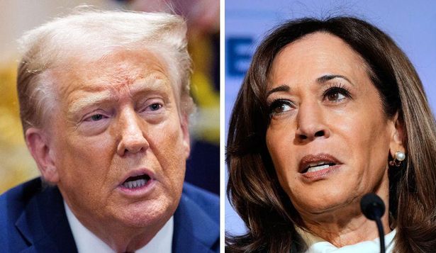 Kamala Harris enfrentó varias amenazas de seguridad durante su período como vicepresidenta del gobierno de Joe Biden.