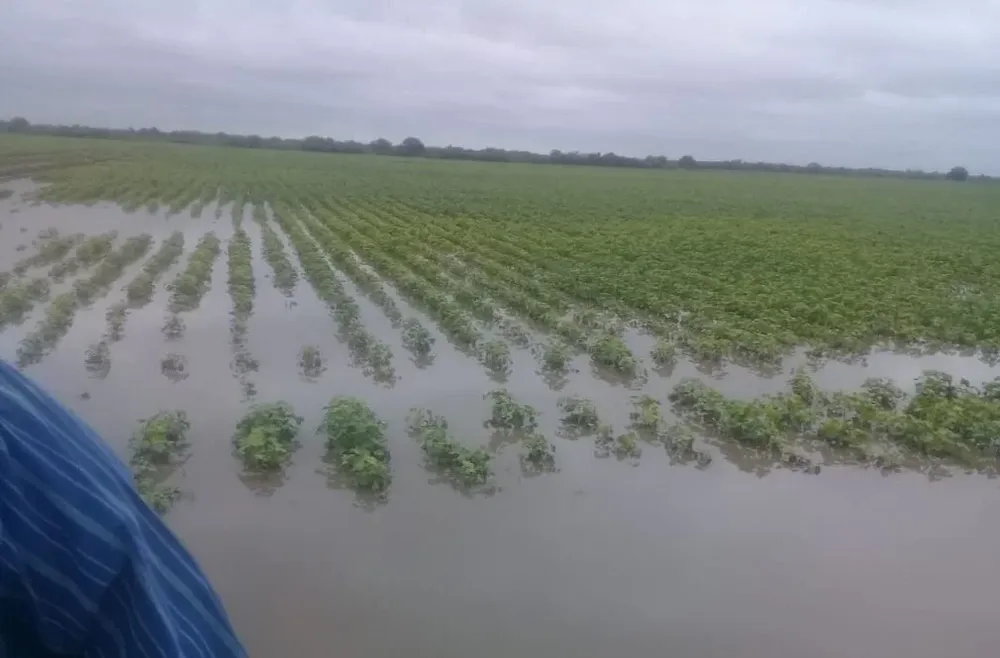 Dramática situación en el norte argentino.
