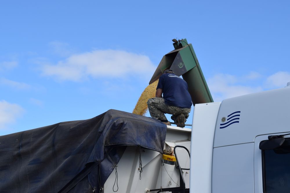 Materias primas: en medio de una cosecha adversa, por bajos rindes en las chacras, el precio de la soja mejora, pero también suben los costos, como el gasoil.