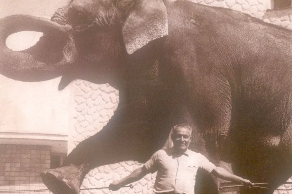 Antes de ser donado a la intendencia, el zoológico tenía un circo adentro donde el domadorJosé Wald enseñaba trucos a los animales