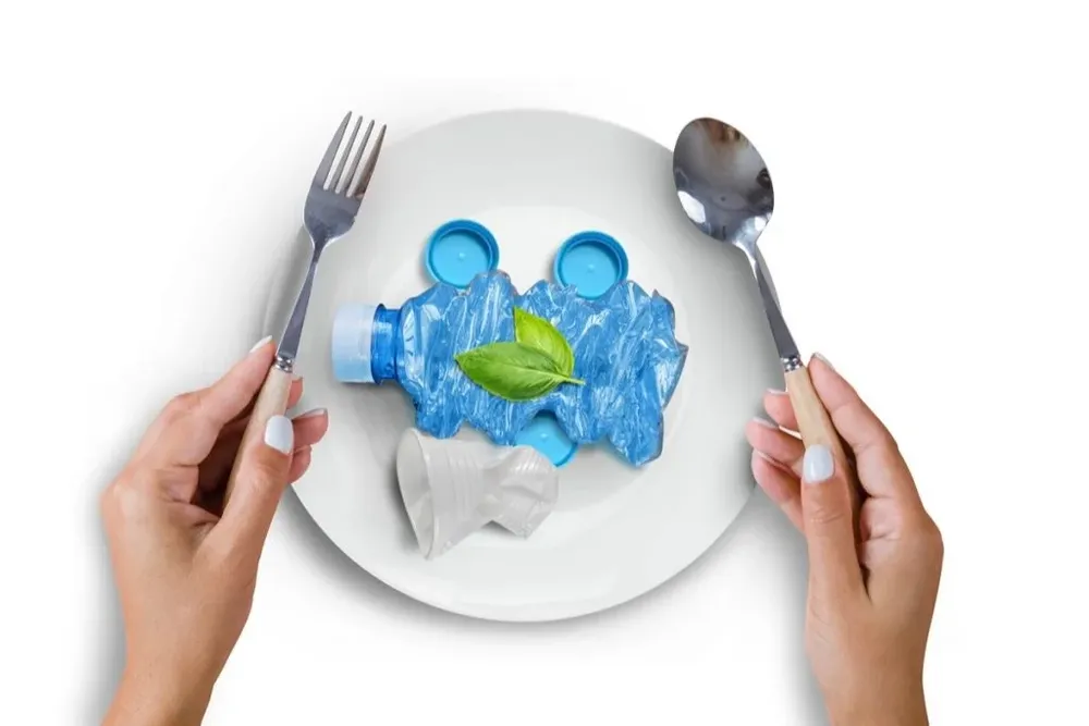 El impacto de los plásticos en la salud.