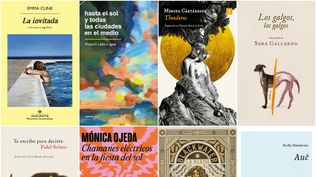 ¿No sabés qué leer en verano? Ocho libros para solucionarte la vida