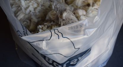 Mercado lanero con novedades tras una nueva semana de actividades.