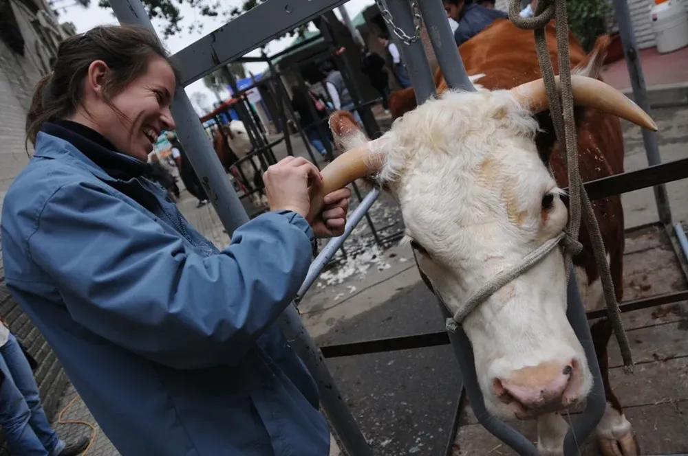 Se viene la gran muestra de la cabaña nacional