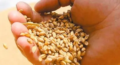 Los productores atentos a los mercados