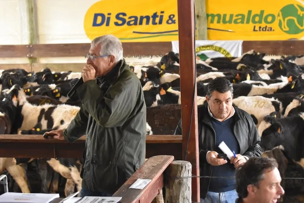 Remata, administra y financia Di Santi & Romualdo Ltda