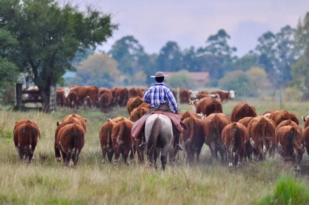 La cabaña de Bordaberry es parte de la marca Uruguay Natural