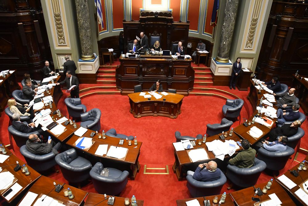 20240514 cámara de senadores, ley de medios,