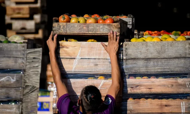 La sequía también impacto en el sector granjero.