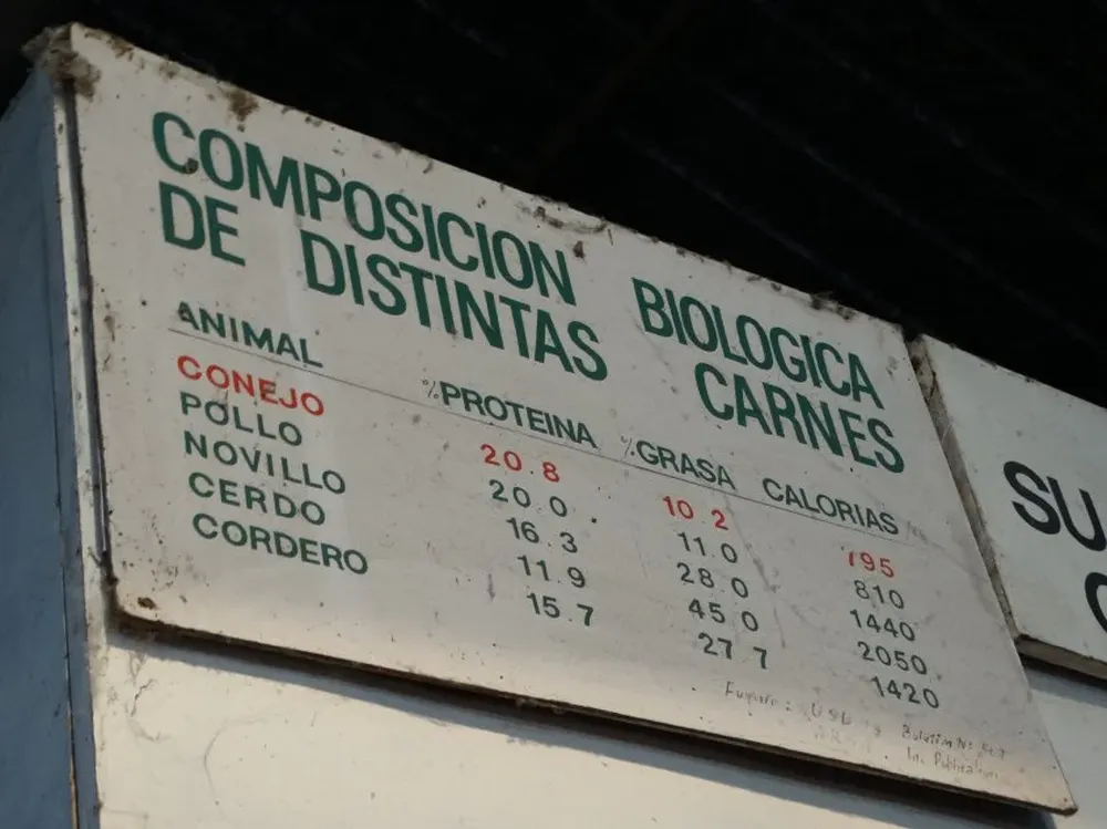 En el pabellón de conejos se divulgaron datos sobre las bondades de esta carne.